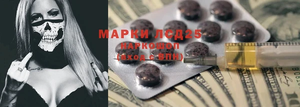прущие грибы Иннополис