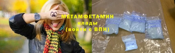 прущие грибы Иннополис