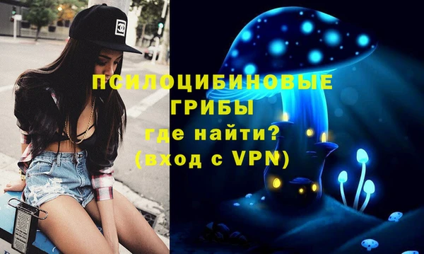 ALPHA PVP Инсар