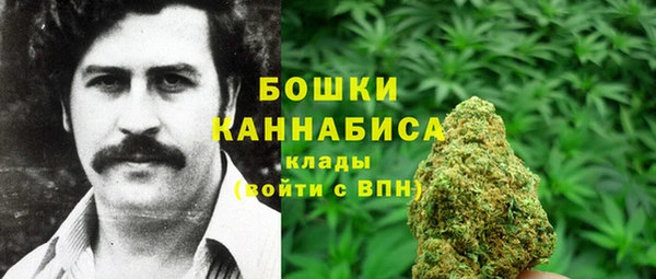ALPHA PVP Инсар