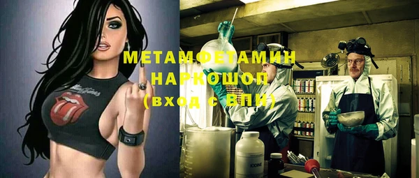 прущие грибы Иннополис