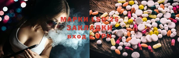 прущие грибы Иннополис
