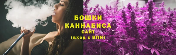 ALPHA PVP Инсар