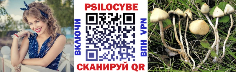 Галлюциногенные грибы Psilocybe Нефтегорск